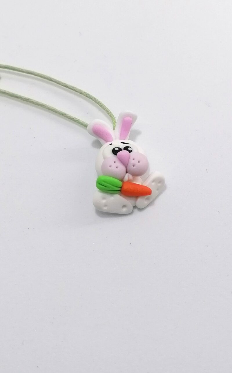 zoo ciond rabbitcarrot